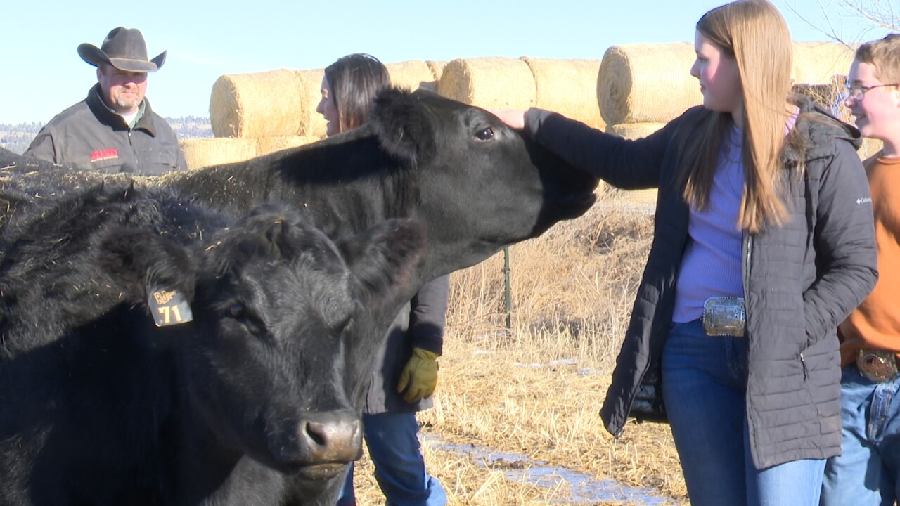 'Agriculture raised me': Pompeys Pillar teen using social media to advocate for Ag industry