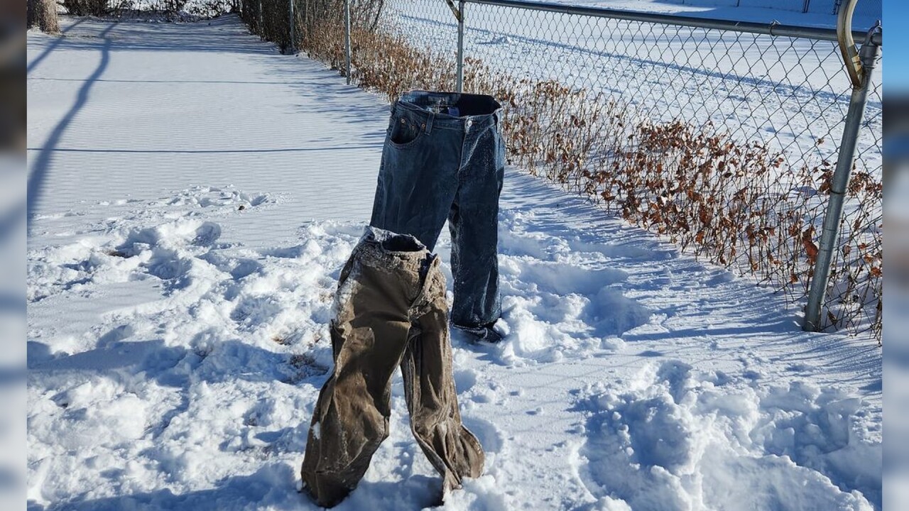 FROZEN PANTS