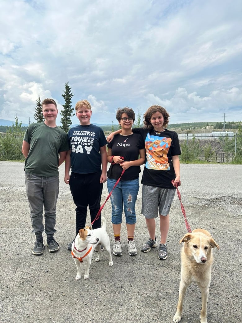 Picture of four kids walking two dogs.