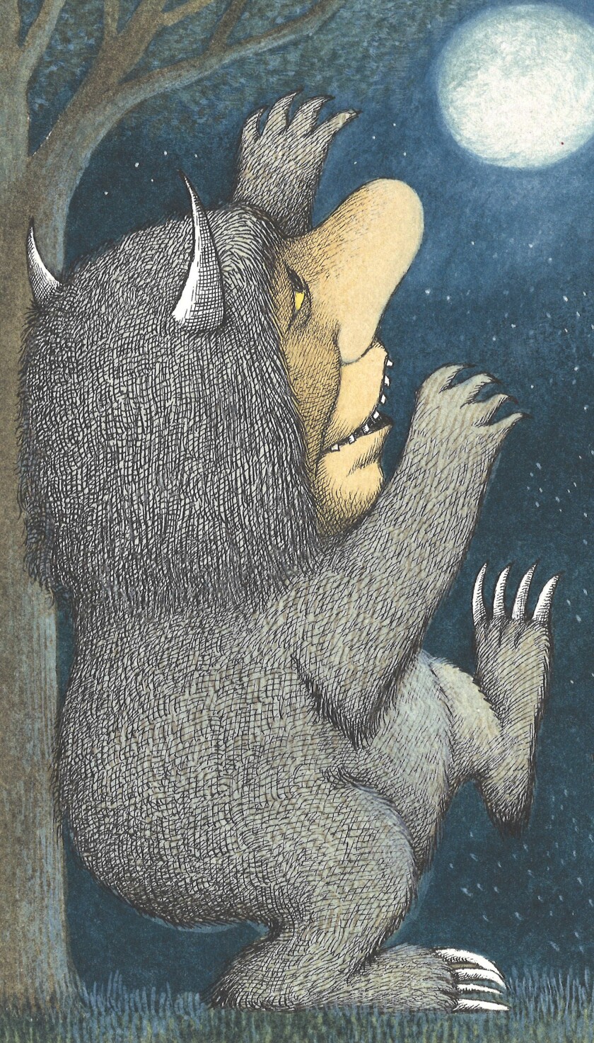 Wild Things 2.jpg