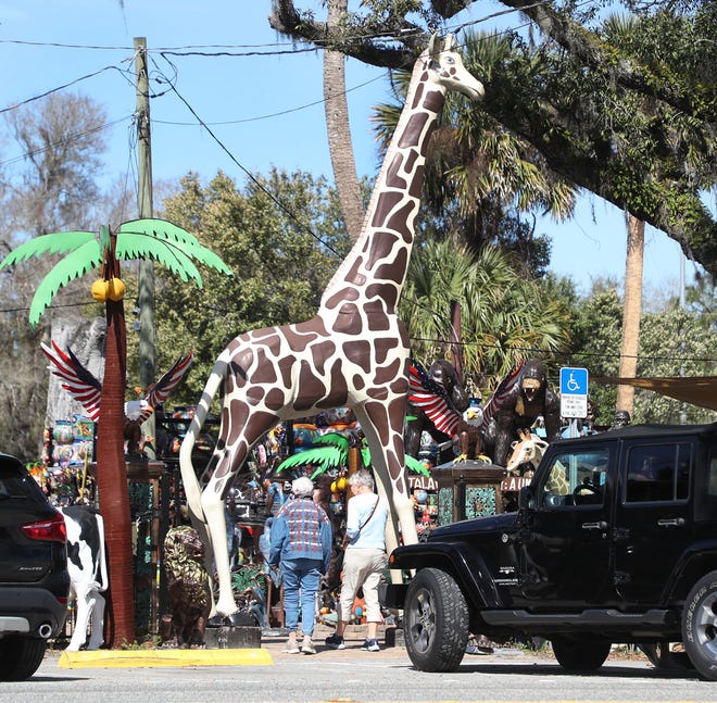 Shoppers entering the Barberville Yard Art Emporium walk under a life sized Gariffe Thursday February 2024.