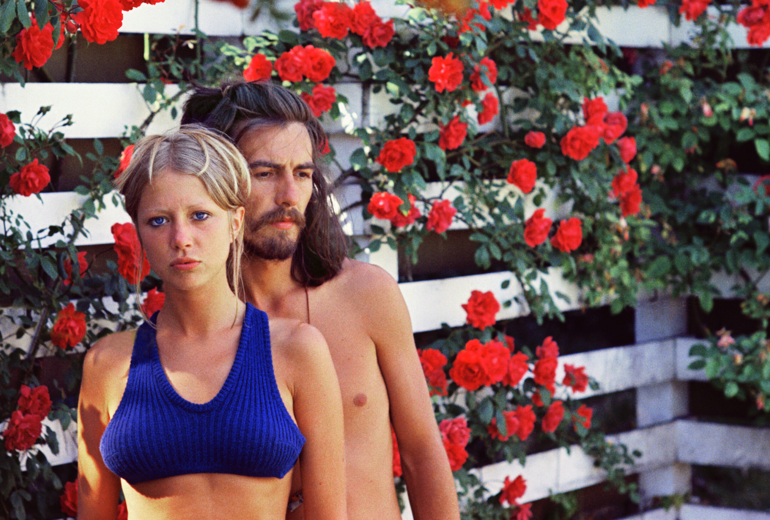 Woman and man stand in front of rose bush 