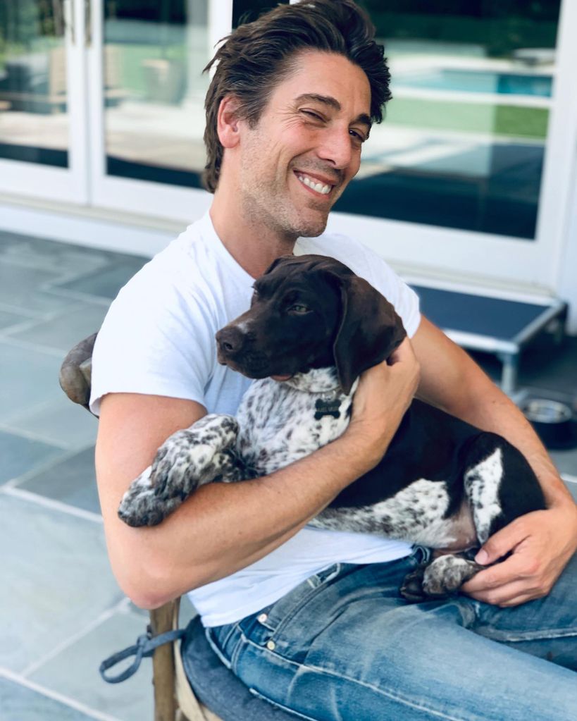 david muir cuddling dog axel