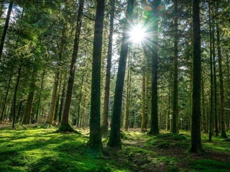 Why investors should consider investing in nature