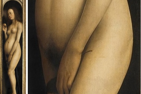 Image of a nude woman on the left, with a close-up on her pune area on the right, showing the suggestion of hairs.