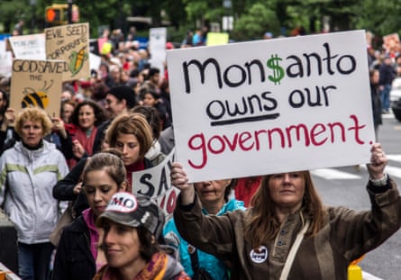 crowd of people on street holding signs