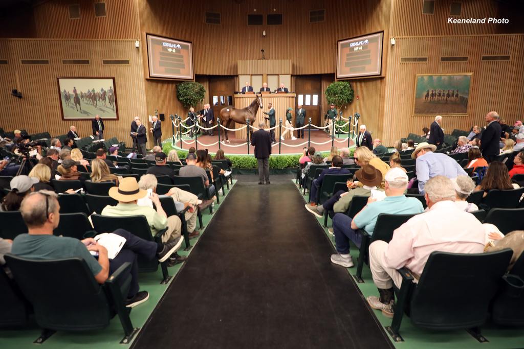 Scenics, 2024 Keeneland September Sale