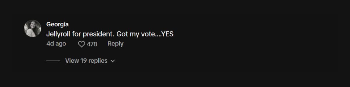 Screenshot of a comment supporting Jelly Roll for president | TikTok | @georgia0340