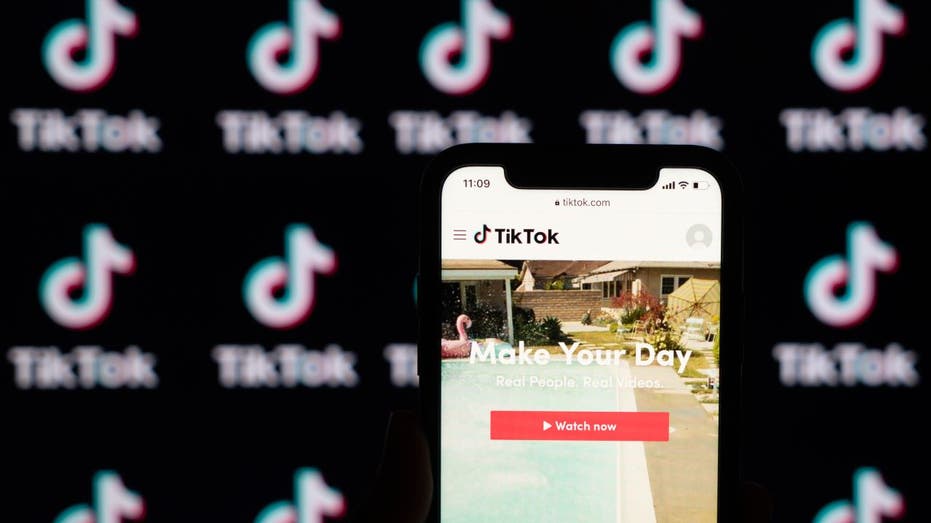 TikTok app