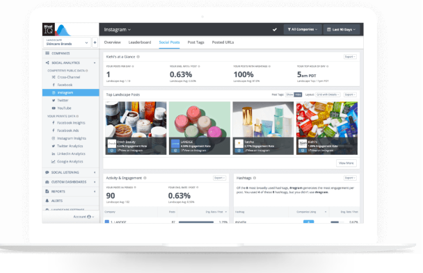 Rival IQ Instagram social posts at a glance overview