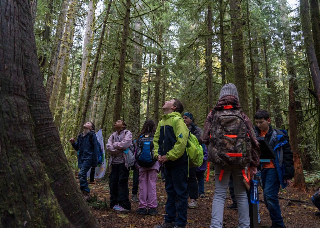 Children look up at a tree.