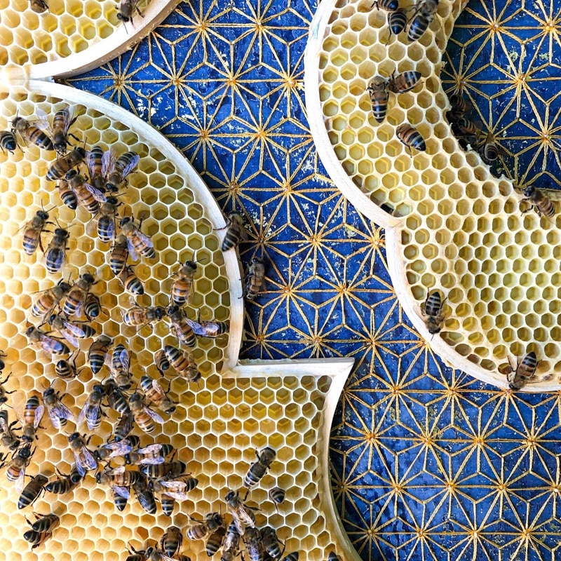 Ava Roth embroidery encaustic honeybee beeswax artwork