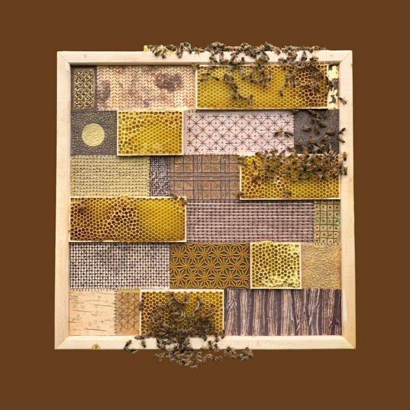 Ava Roth embroidery encaustic honeybee beeswax artwork