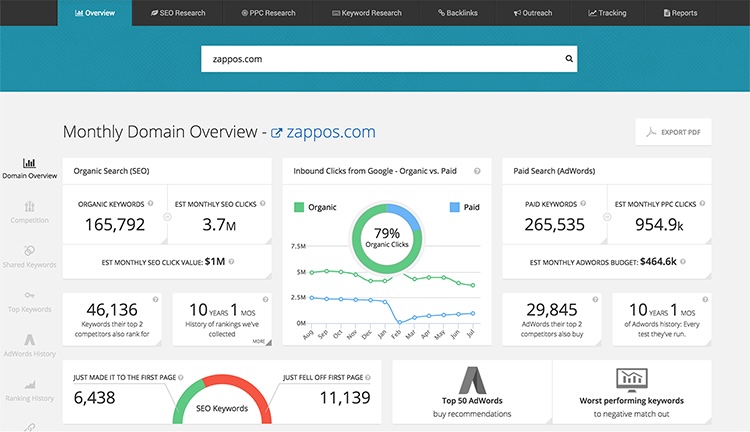 spyfu competitive domain overview report