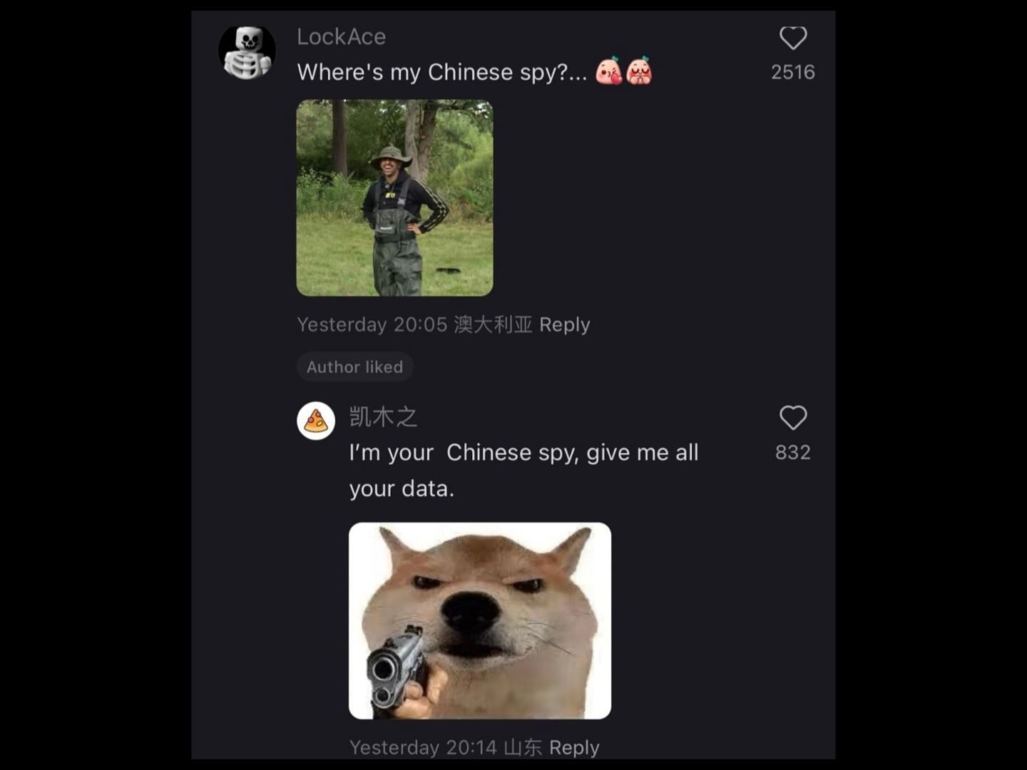 Netizens flood social media with hilarious Xiaohongshu memes as TikTok ban approaches. (Image via X/@wangxianling)