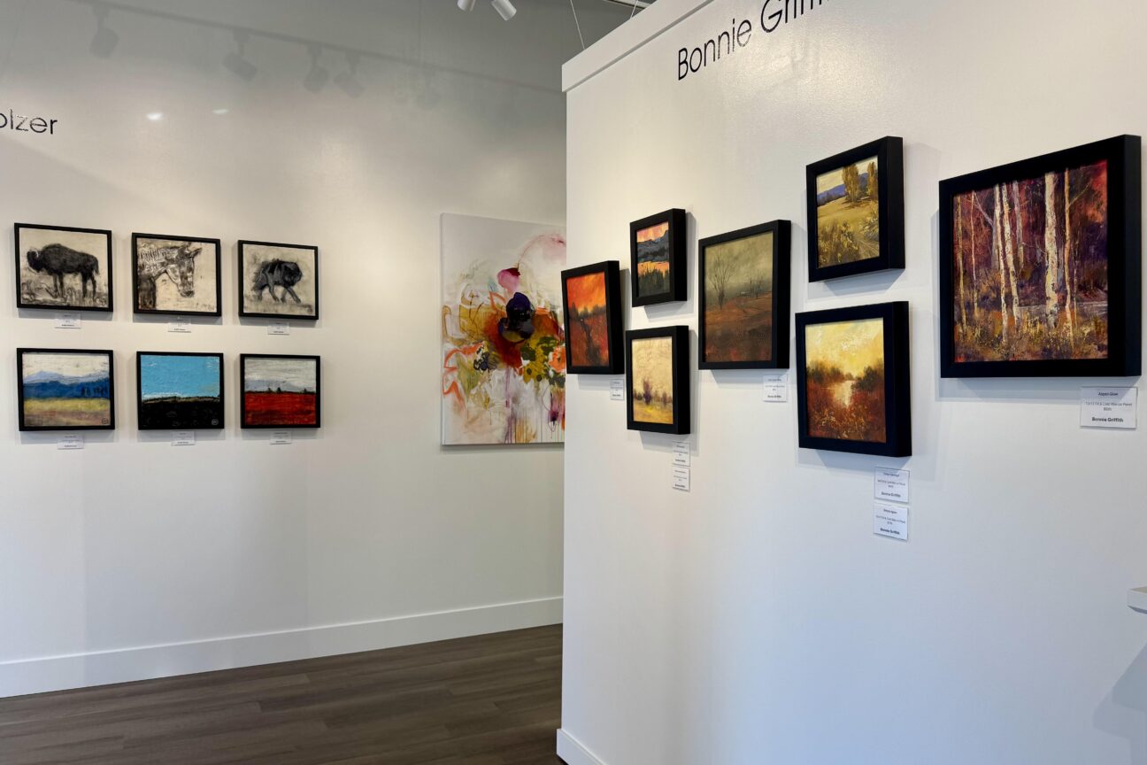 Works of art are displayed in the Idaho Art Gallery in downtown Meridian. (PHOTO: STEVE LOMBARD IBR)