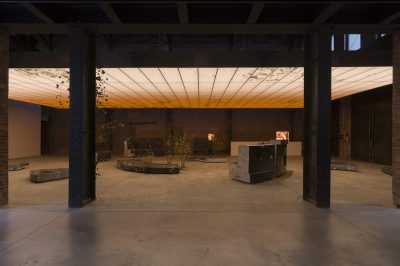 A gallery exhibition featuring a drop ceiling that has vinery on it. Beneath the lit-up ceiling are blocks of stone.