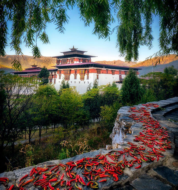 Ancient building in Bhutanese landscape with red peppers drying on a stone path, under a clear blue sky.