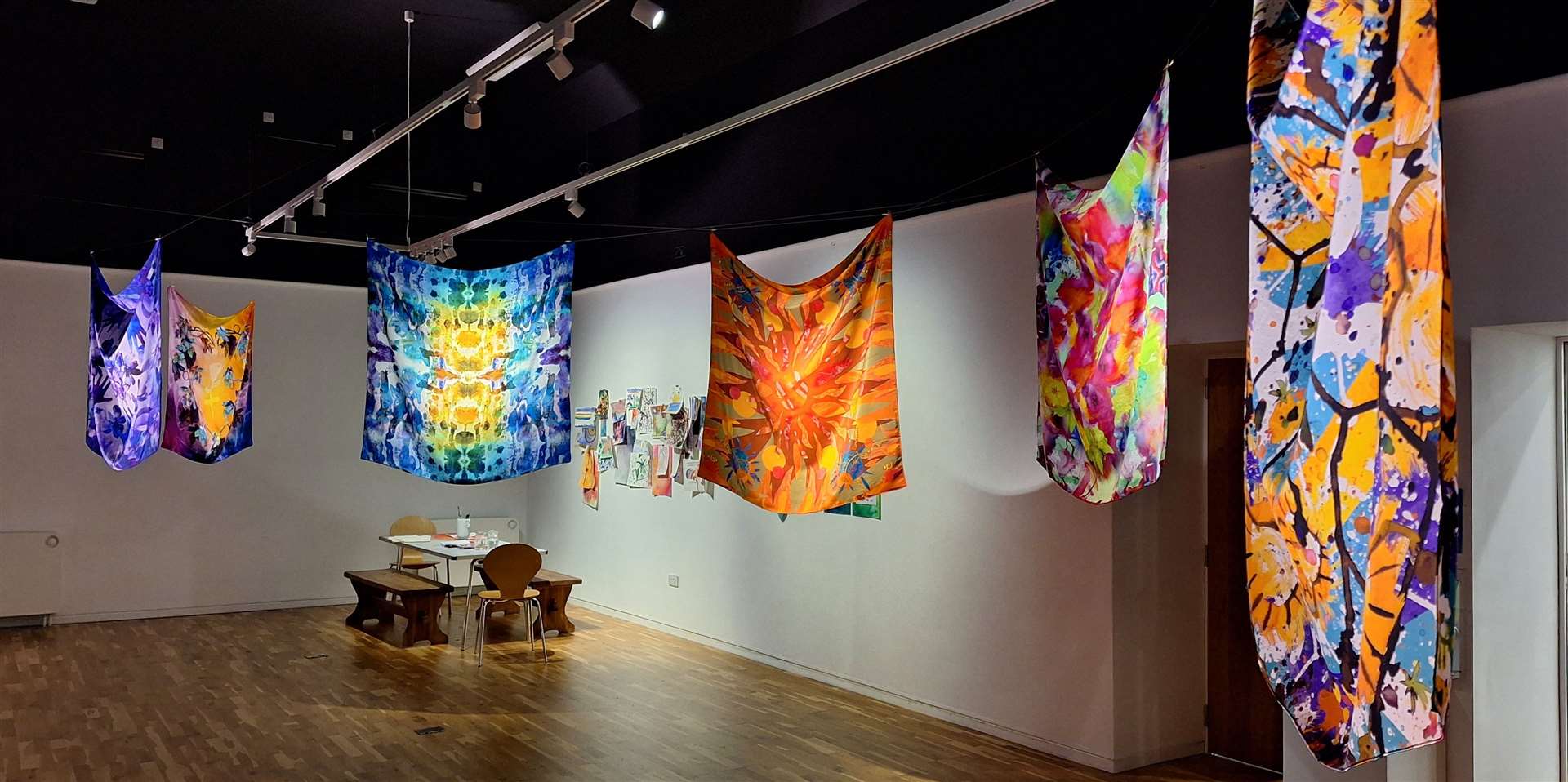 Cocoon show at Thurso Art Gallery was a collaborative exhibition. Picture: DGS