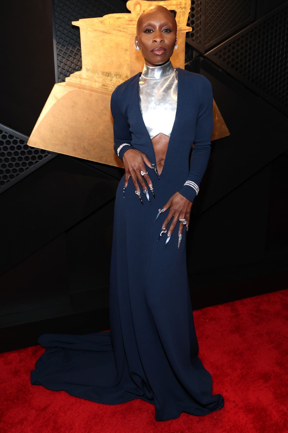 67th annual grammy awards red carpet