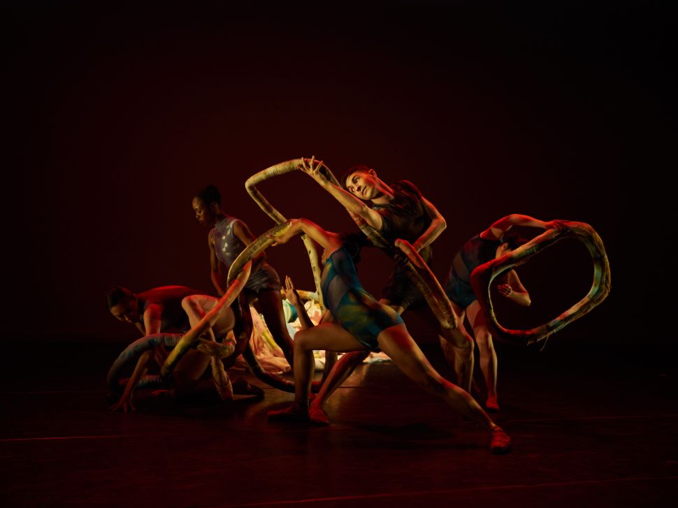 A group of dancers intertwined with flexible sculptural elements, performing in dim, moody lighting with a deep red and black backdrop, creating an abstract and immersive visual effect.