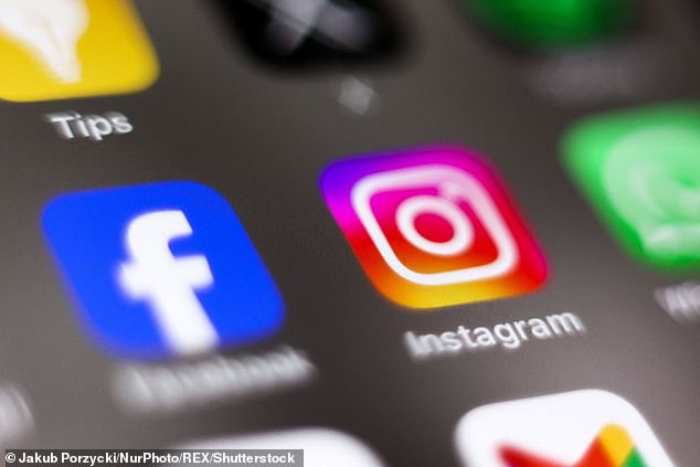 Experts have long cited social media as a factor that can disrupt young people's sleep, relationships and socialisation skills