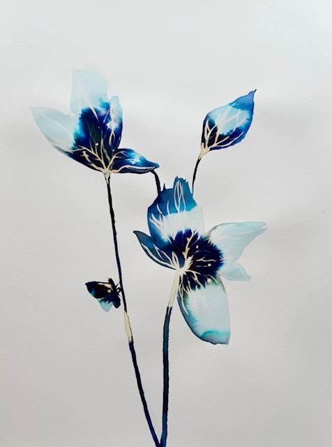 Art by Kenna Mackay of Scotland is on view in 