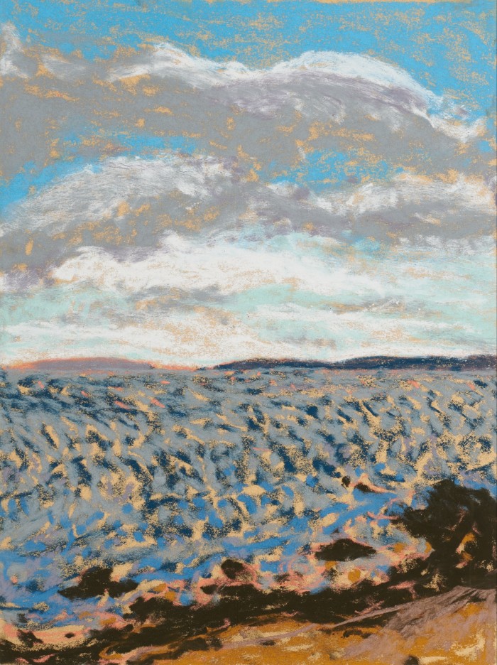 The Sky is Falling, 2020, by Nicole Wittenberg